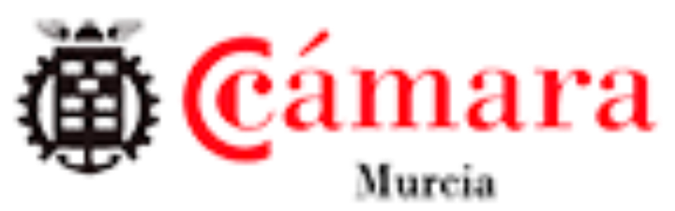21_CamaraMurcia_logo
