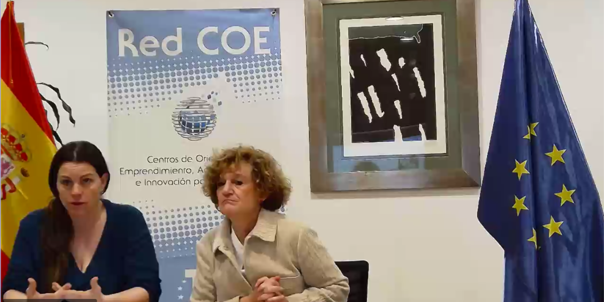 DINAMO galeria videos